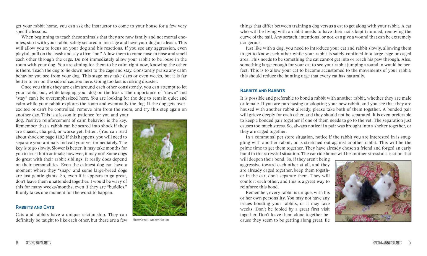 Raising Happy Rabbits: Housing, Feeding, and Care Instructions for Your Rabbit's First Year