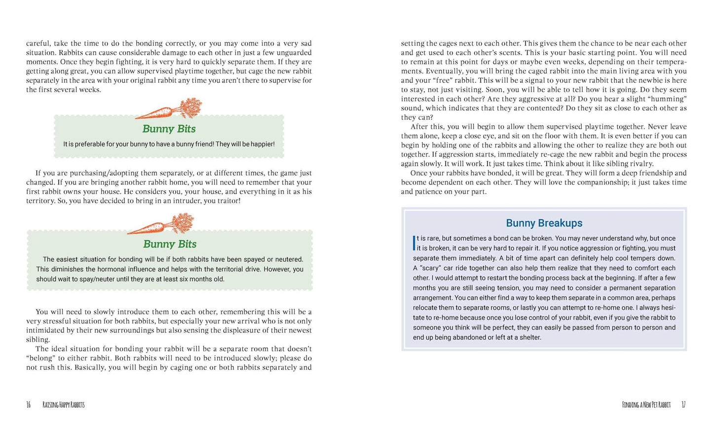 Raising Happy Rabbits: Housing, Feeding, and Care Instructions for Your Rabbit's First Year