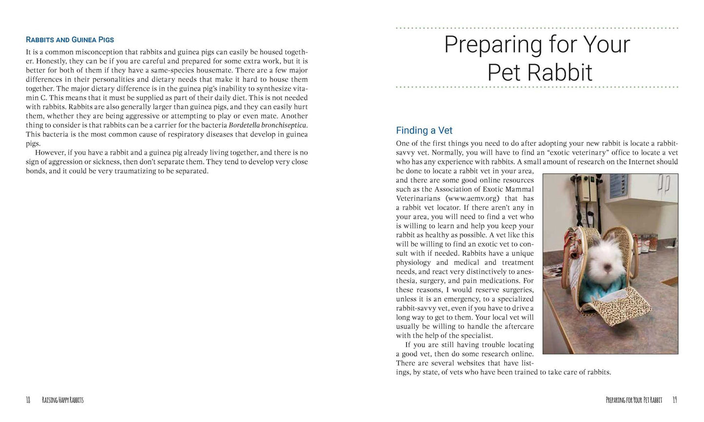Raising Happy Rabbits: Housing, Feeding, and Care Instructions for Your Rabbit's First Year