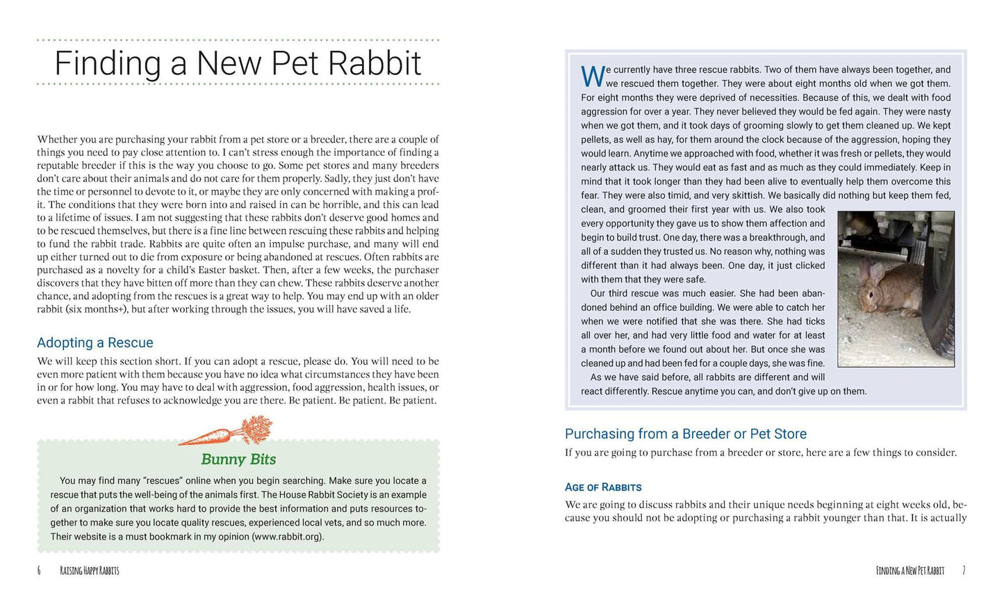 Raising Happy Rabbits: Housing, Feeding, and Care Instructions for Your Rabbit's First Year