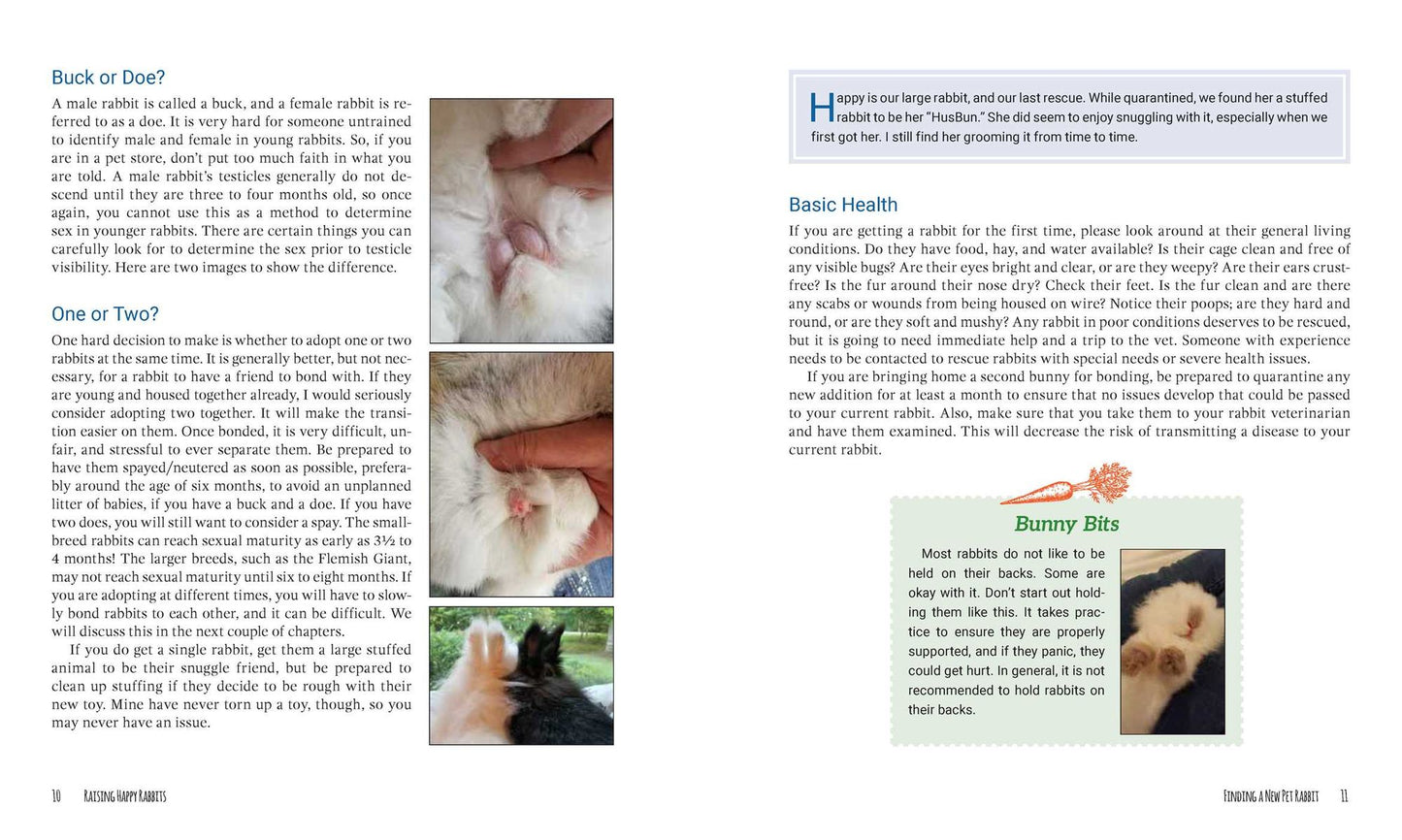 Raising Happy Rabbits: Housing, Feeding, and Care Instructions for Your Rabbit's First Year