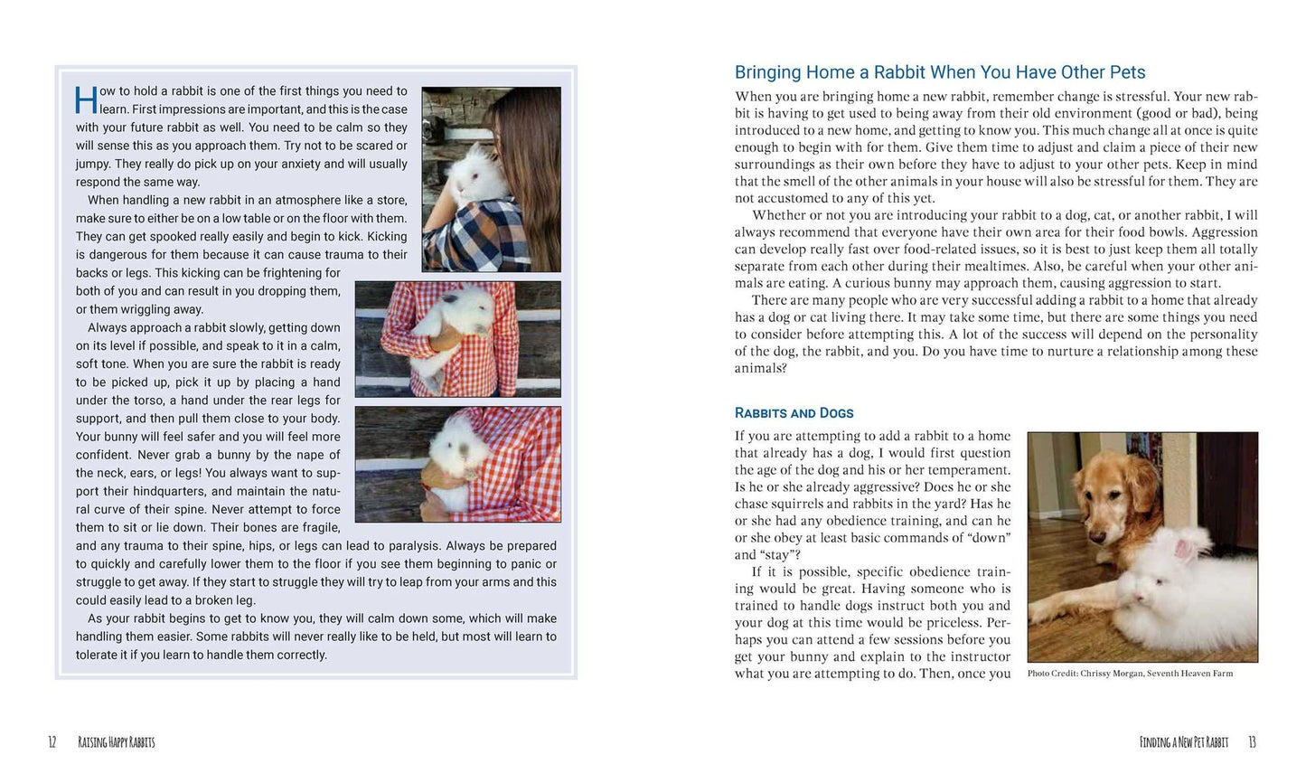 Raising Happy Rabbits: Housing, Feeding, and Care Instructions for Your Rabbit's First Year