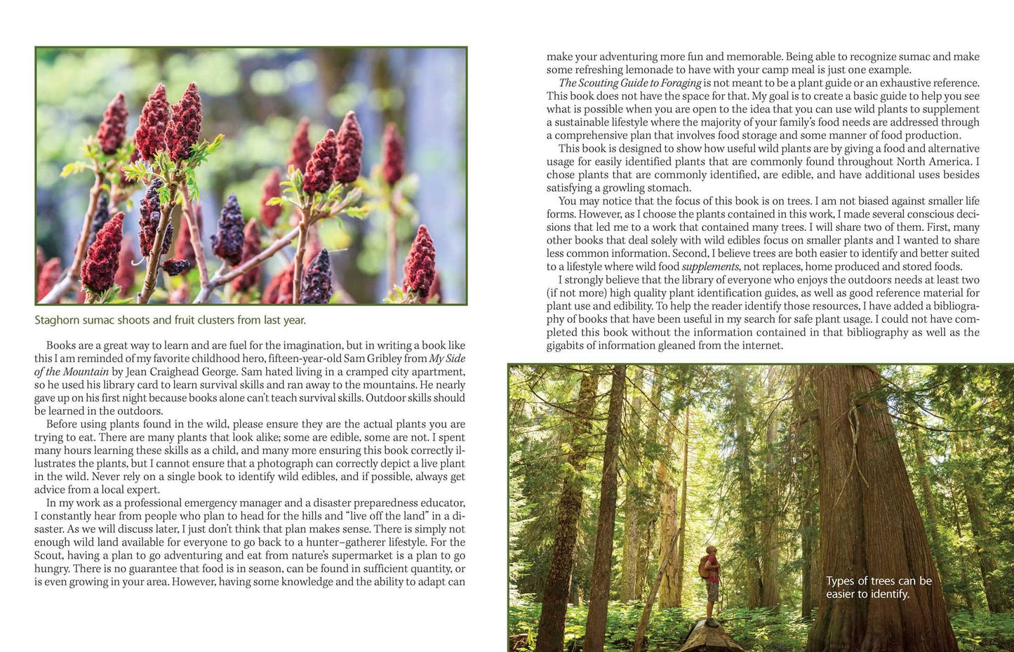The Prepper's Guide to Foraging : How Wild Plants Can Supplement a Sustainable Lifestyle