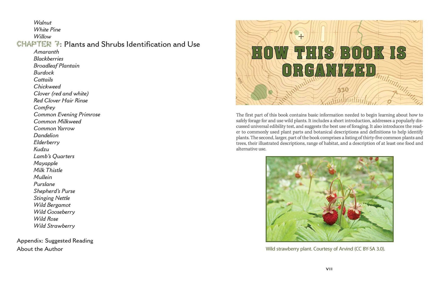 The Prepper's Guide to Foraging : How Wild Plants Can Supplement a Sustainable Lifestyle