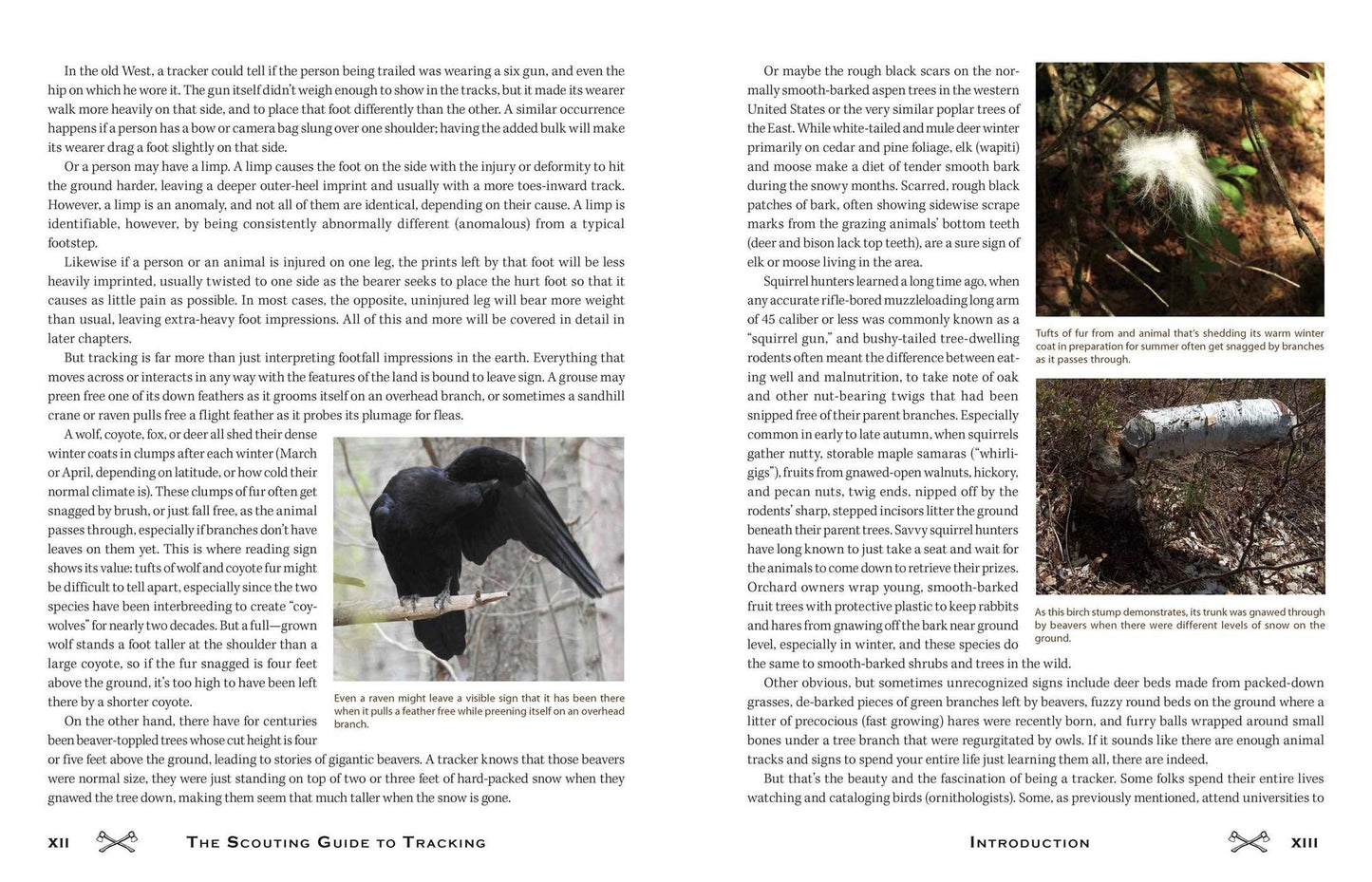 Scouting's Guide to Tracking: An Official Boy Scouts of America Handbook: Essential Skills for Identifying and Trailing Animals