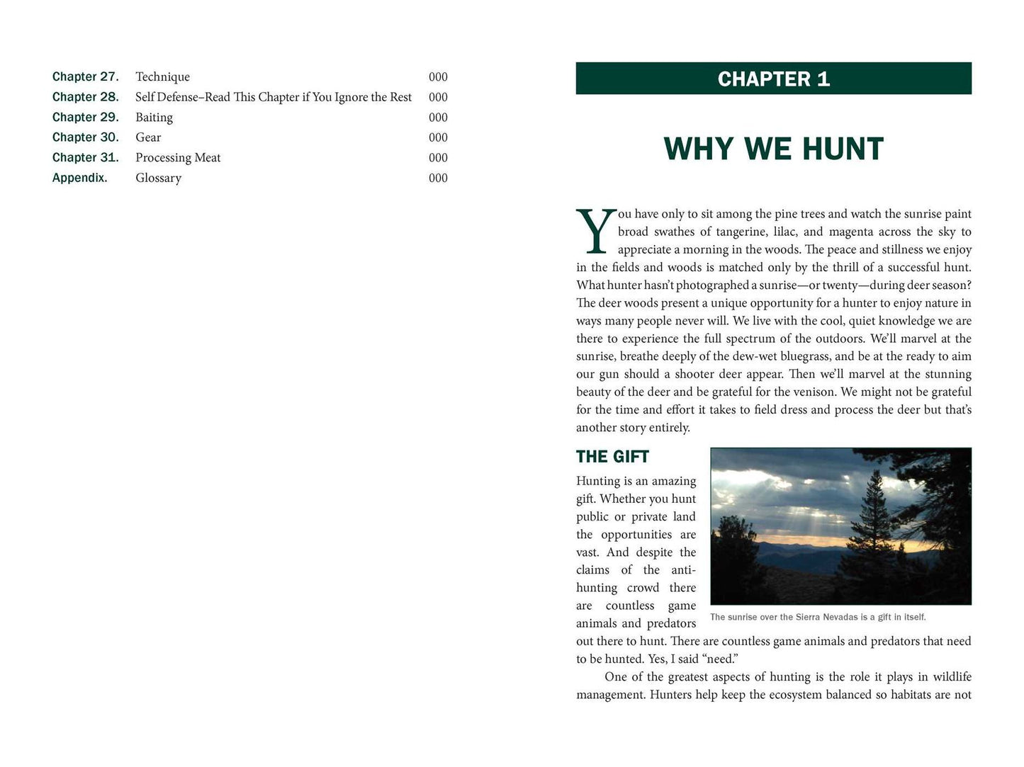 Handgun Hunting : A Comprehensive Guide to Choosing and Using the Right Firearms for Big and Small Game