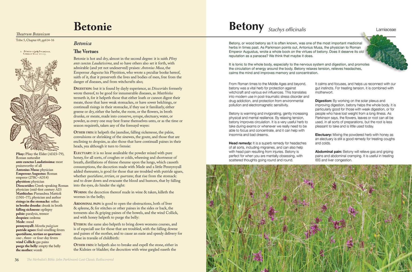 The Herbalist's Bible: John Parkinson's Lost Classic Rediscovered
