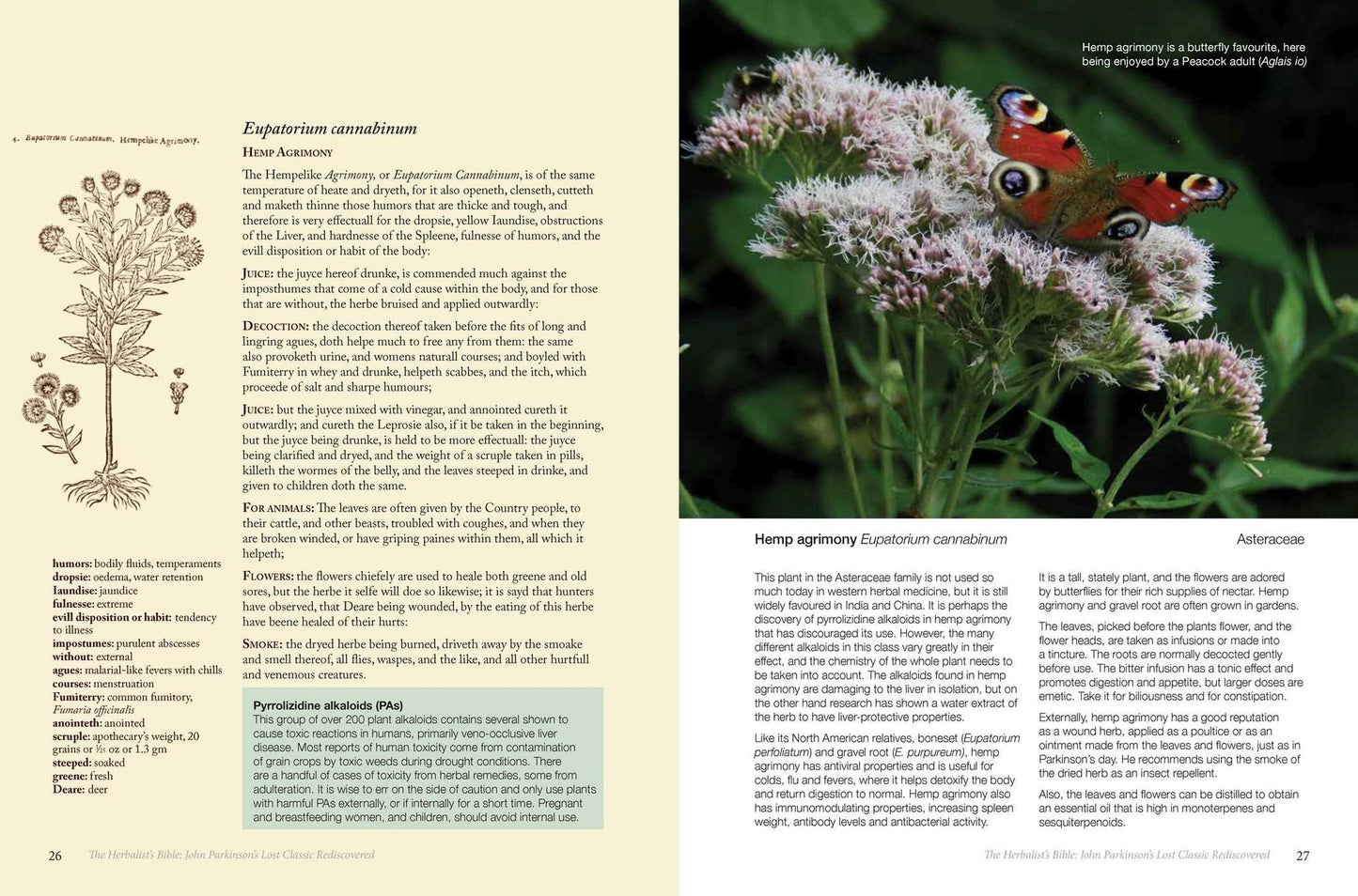 The Herbalist's Bible: John Parkinson's Lost Classic Rediscovered