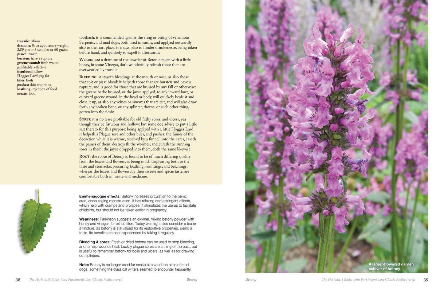 The Herbalist's Bible: John Parkinson's Lost Classic Rediscovered