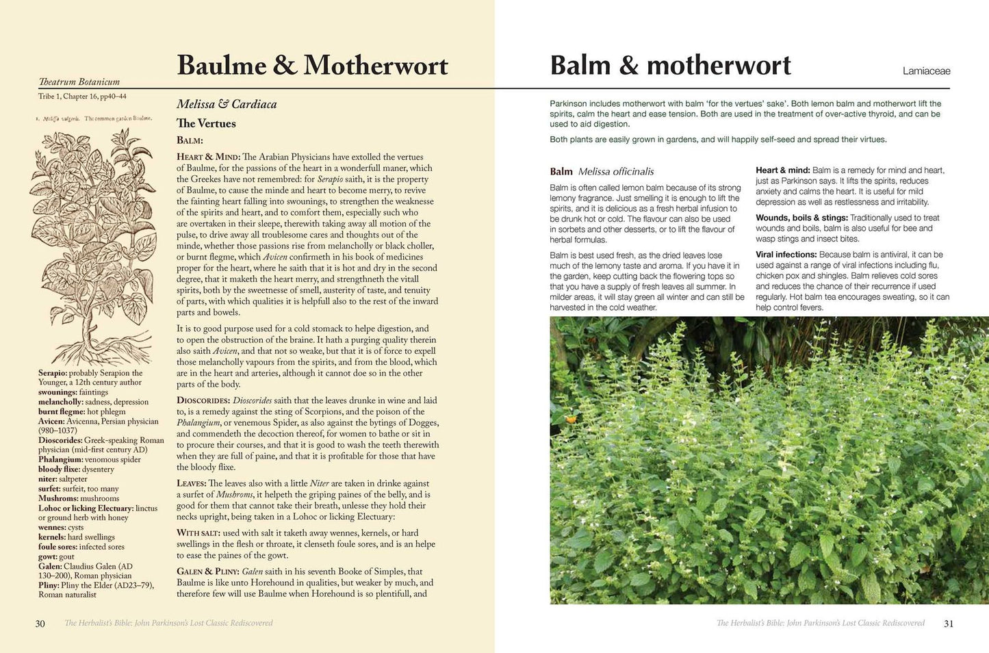The Herbalist's Bible: John Parkinson's Lost Classic Rediscovered