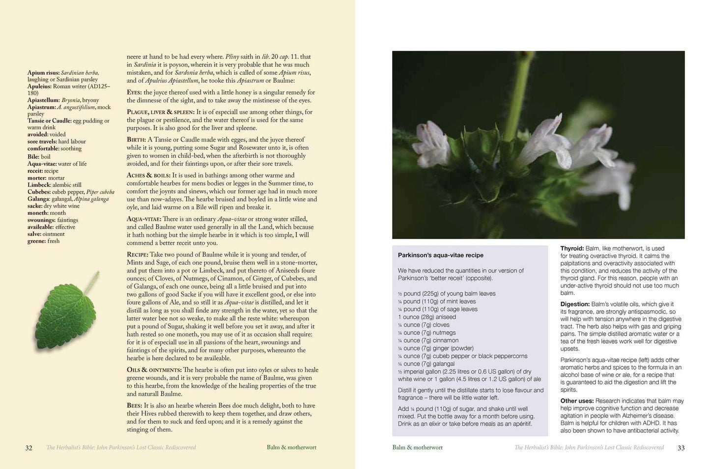 The Herbalist's Bible: John Parkinson's Lost Classic Rediscovered
