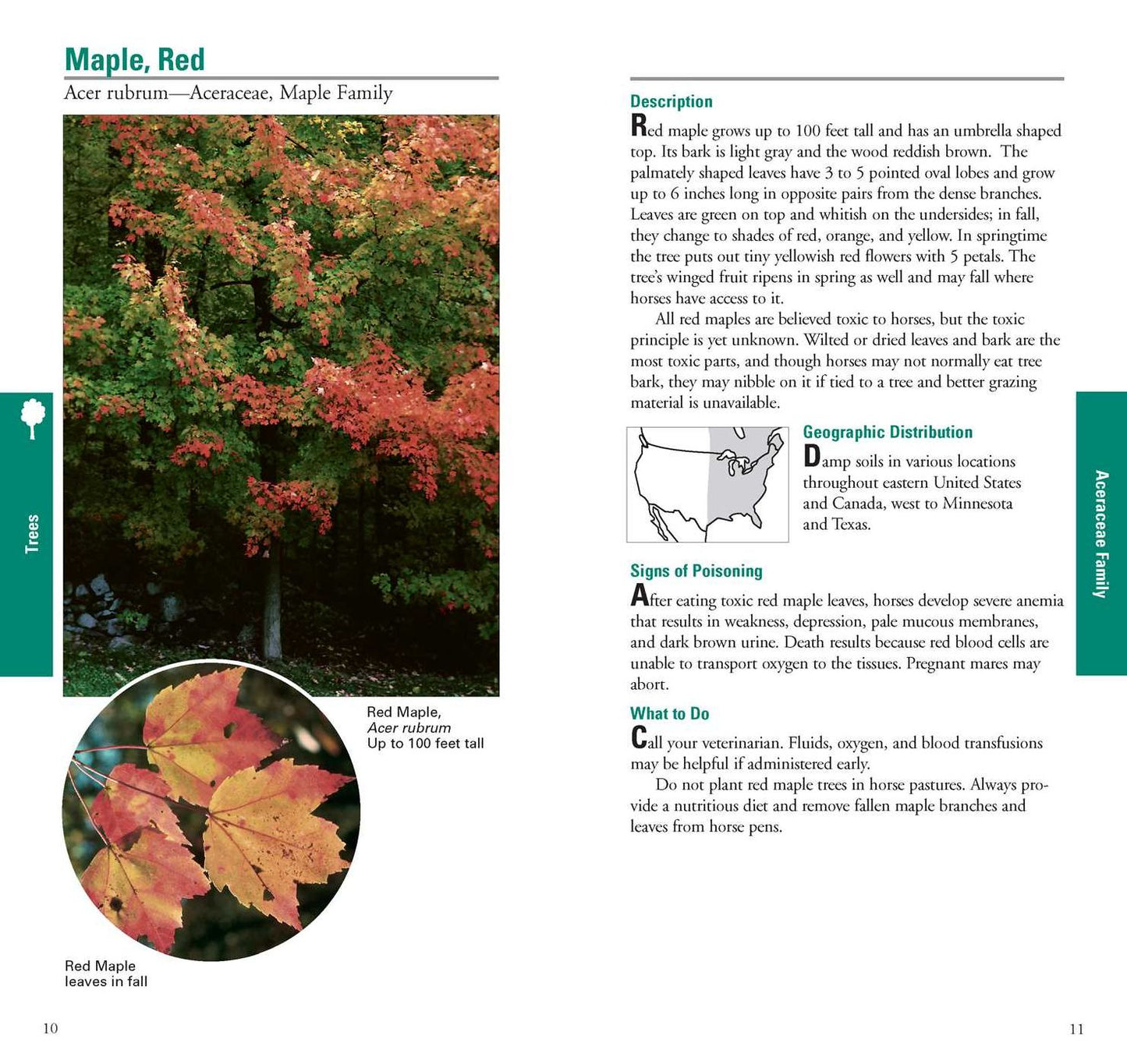 Horse Owner's Guide to Toxic Plants : Identifications, Symptoms, and Treatments