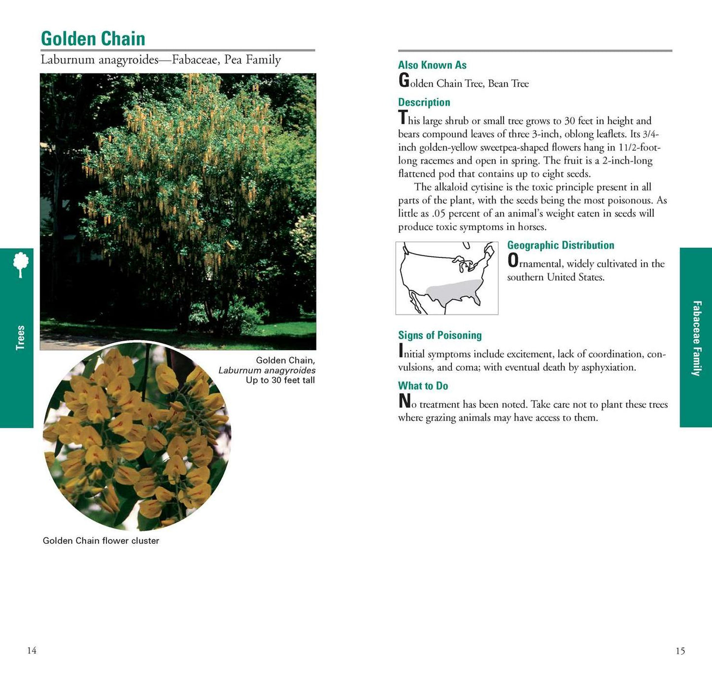 Horse Owner's Guide to Toxic Plants : Identifications, Symptoms, and Treatments