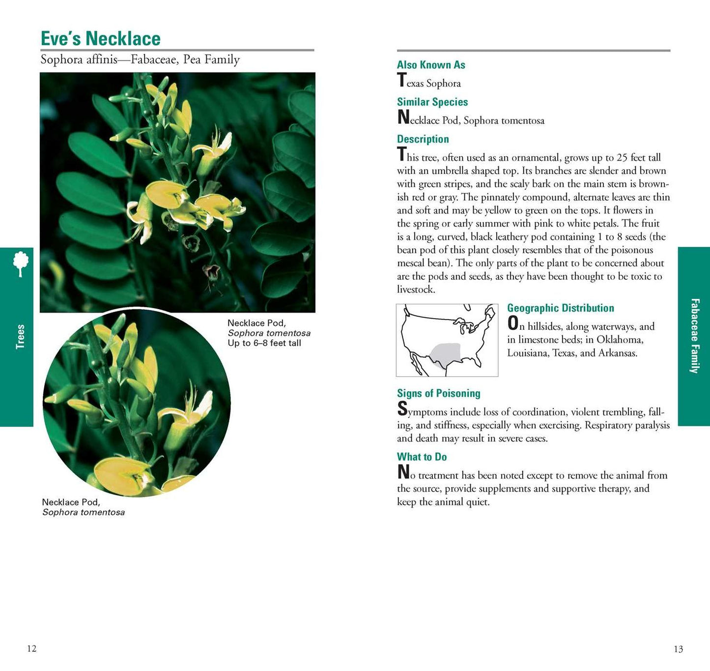 Horse Owner's Guide to Toxic Plants : Identifications, Symptoms, and Treatments