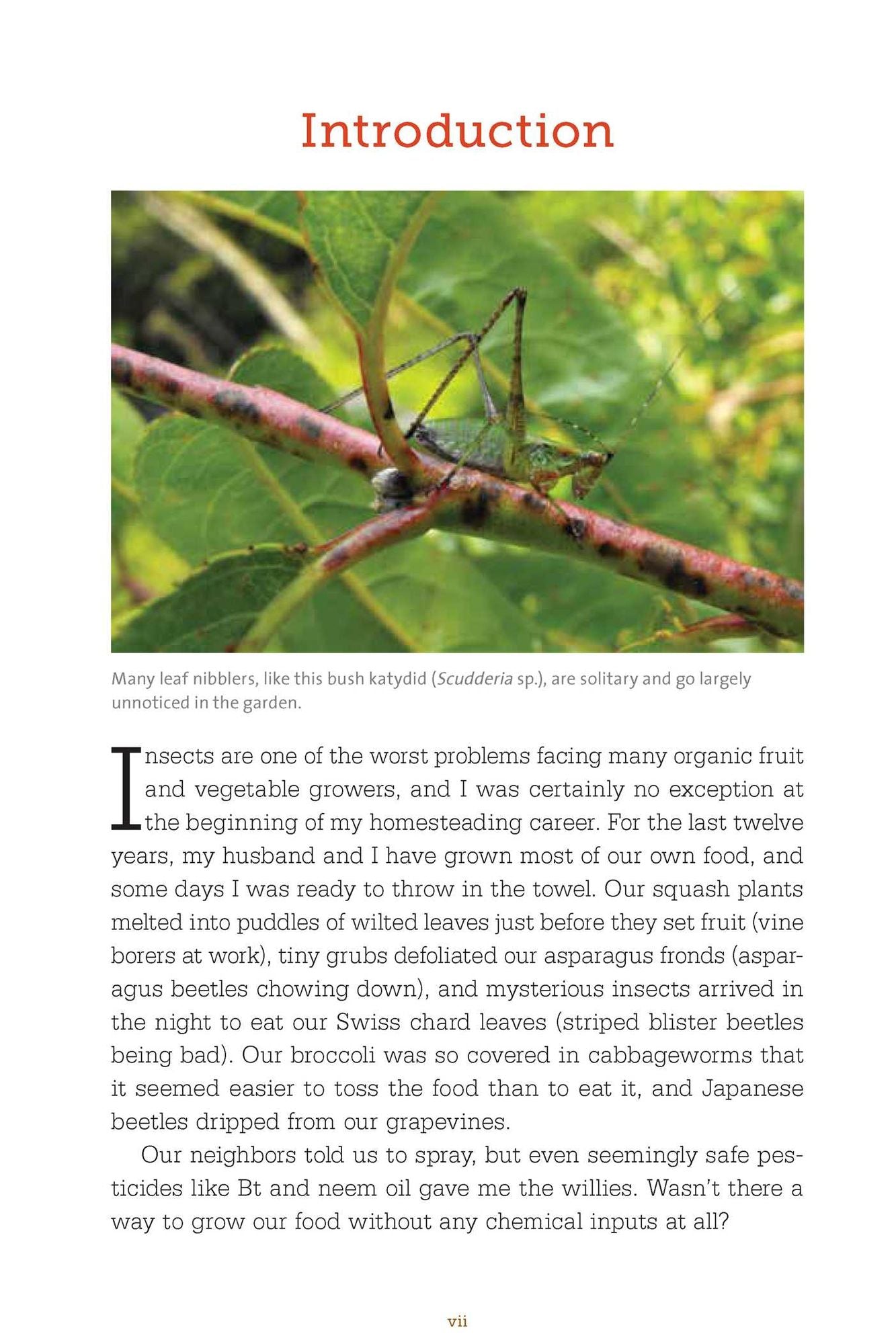 The Bug-Free Organic Garden: Controlling Pest Insects Without Chemicals