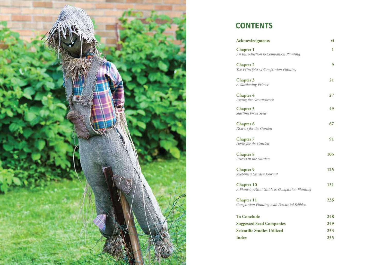 Companion Planting: Organic Gardening Wisdom for Healthier, Happier Plants