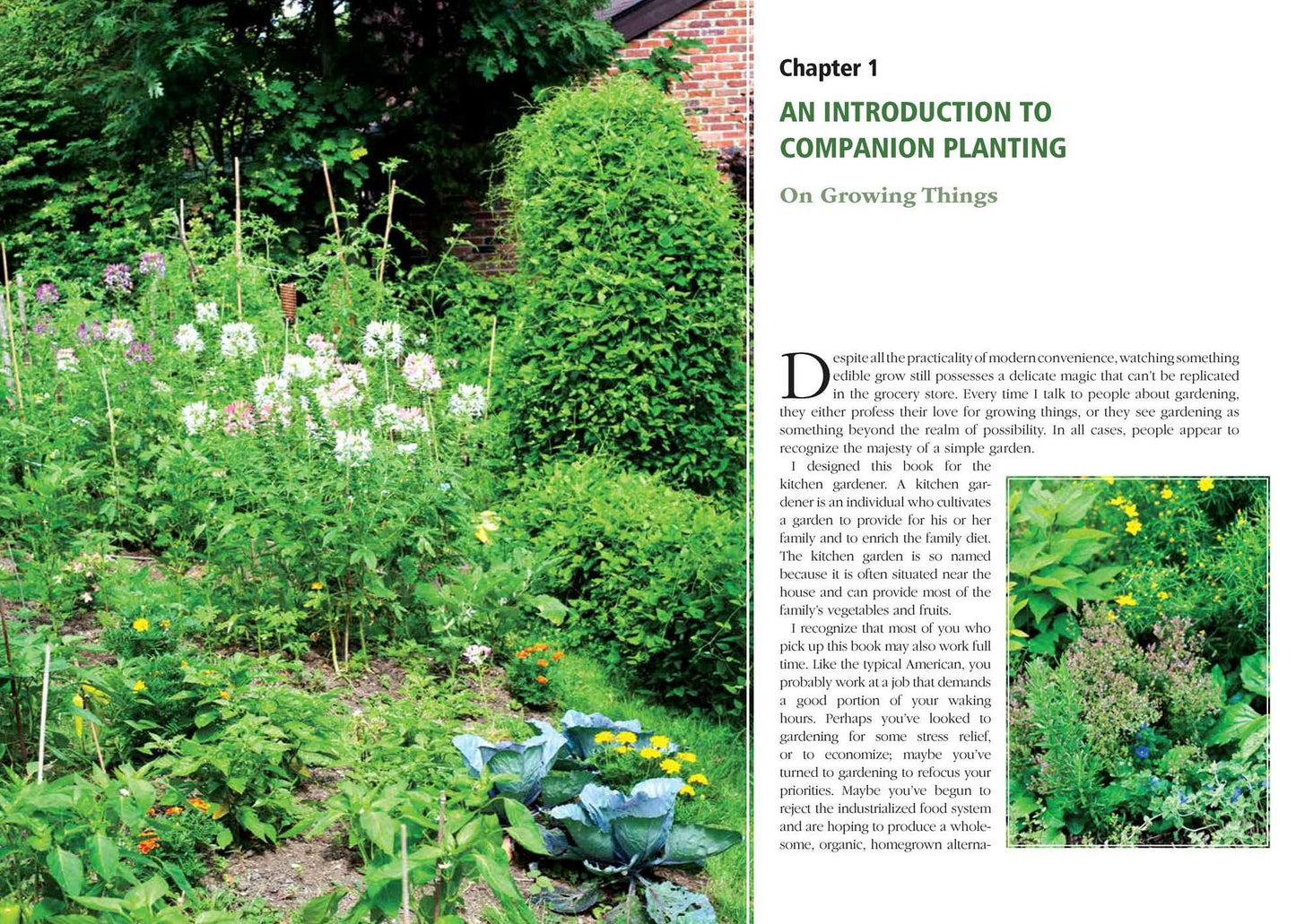 Companion Planting: Organic Gardening Wisdom for Healthier, Happier Plants