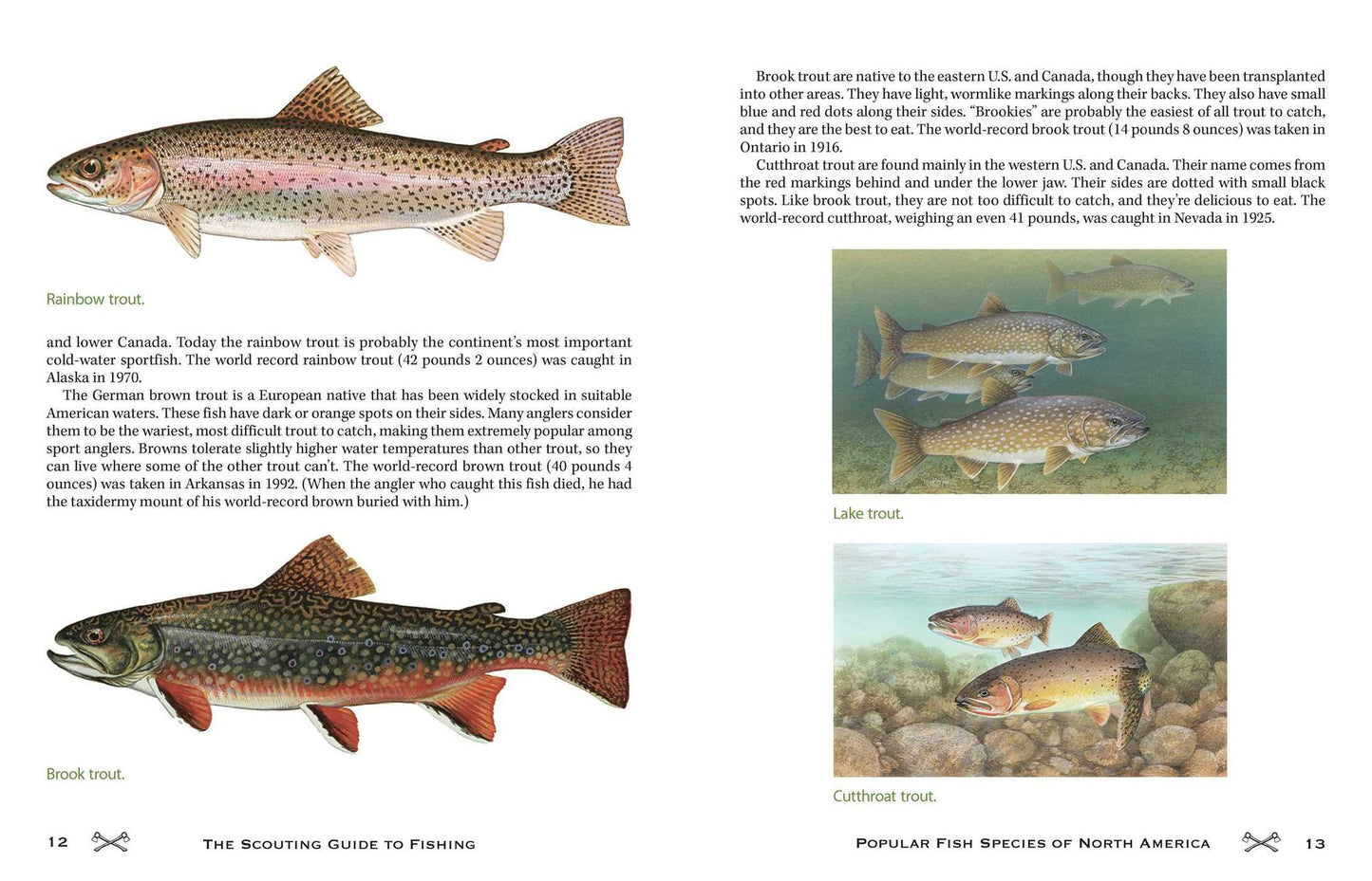 The Scouting Guide to Basic Fishing : 200 Essential Skills for Selecting Tackle, Tying Knots, Casting, and Catching Fish