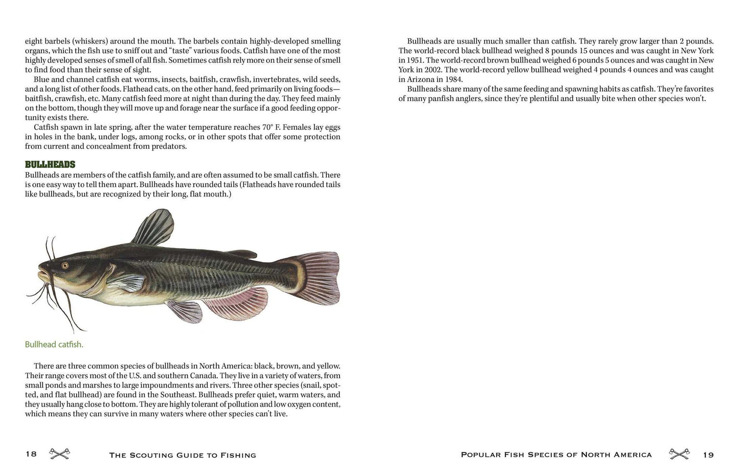 The Scouting Guide to Basic Fishing : 200 Essential Skills for Selecting Tackle, Tying Knots, Casting, and Catching Fish
