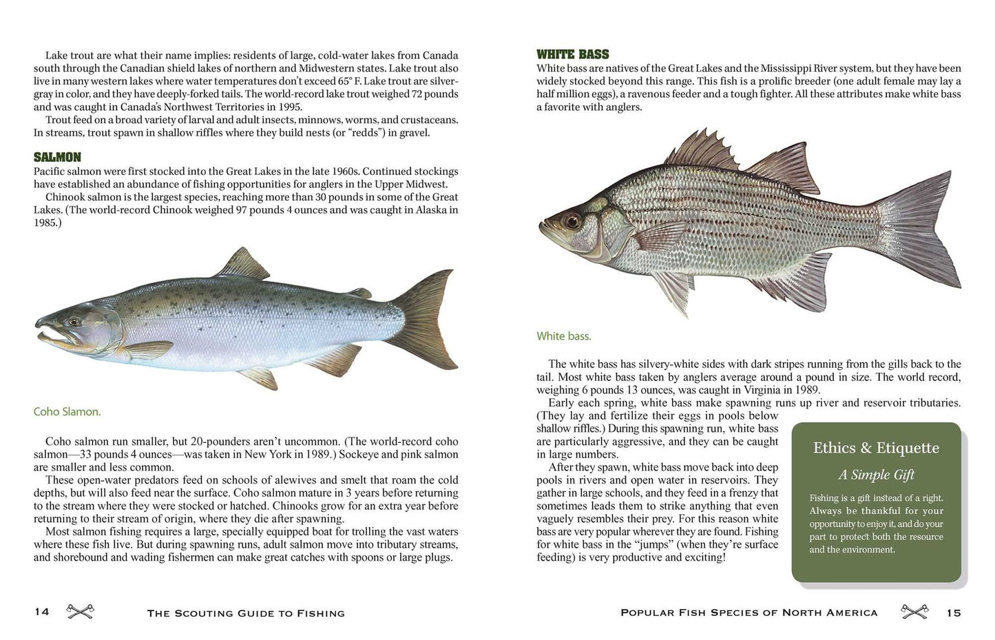 The Scouting Guide to Basic Fishing : 200 Essential Skills for Selecting Tackle, Tying Knots, Casting, and Catching Fish