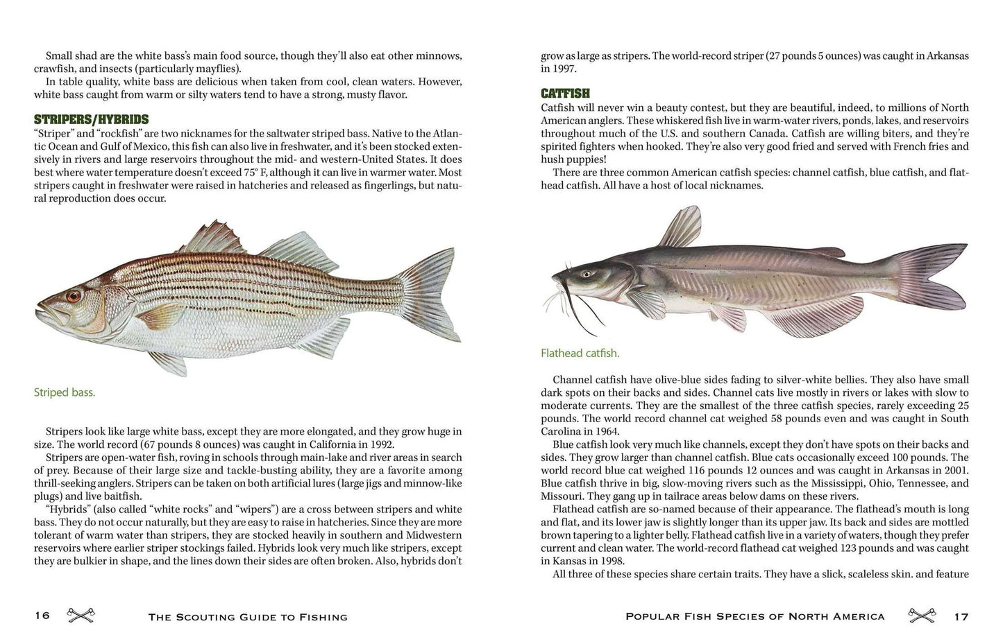 The Scouting Guide to Basic Fishing : 200 Essential Skills for Selecting Tackle, Tying Knots, Casting, and Catching Fish