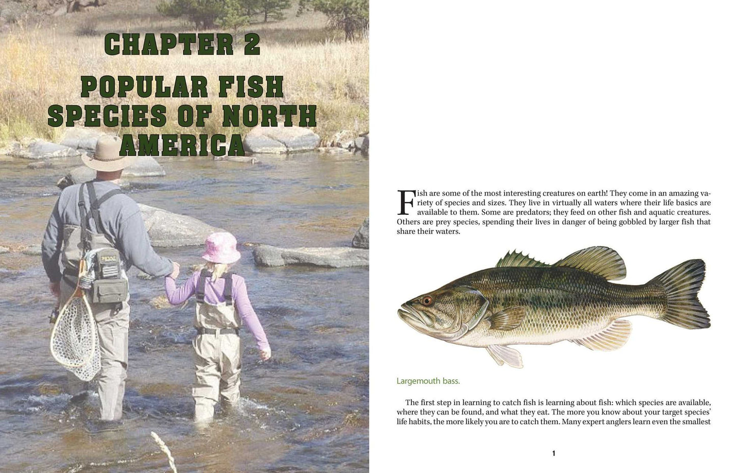 The Scouting Guide to Basic Fishing : 200 Essential Skills for Selecting Tackle, Tying Knots, Casting, and Catching Fish
