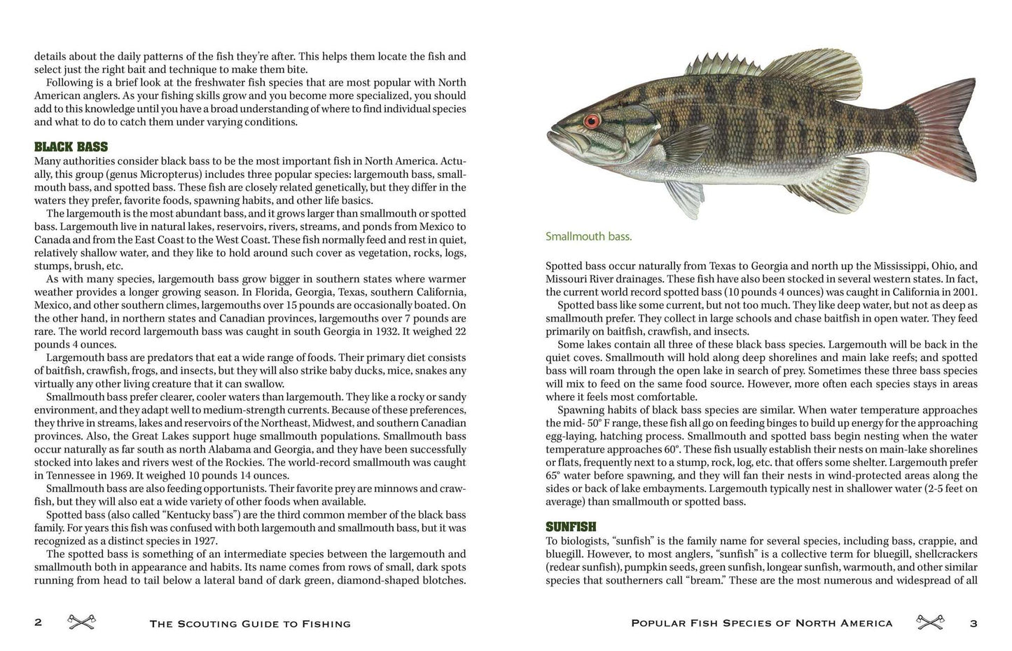The Scouting Guide to Basic Fishing : 200 Essential Skills for Selecting Tackle, Tying Knots, Casting, and Catching Fish