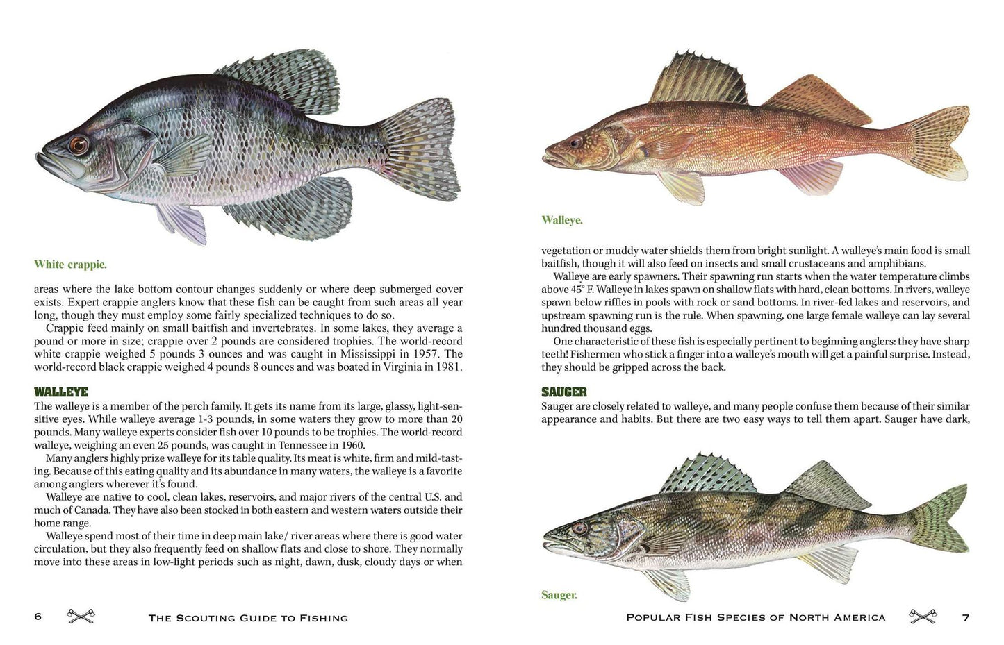 The Scouting Guide to Basic Fishing : 200 Essential Skills for Selecting Tackle, Tying Knots, Casting, and Catching Fish