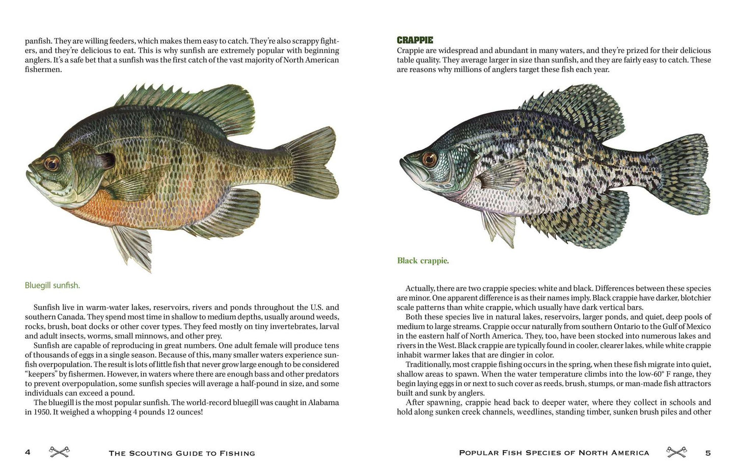 The Scouting Guide to Basic Fishing : 200 Essential Skills for Selecting Tackle, Tying Knots, Casting, and Catching Fish