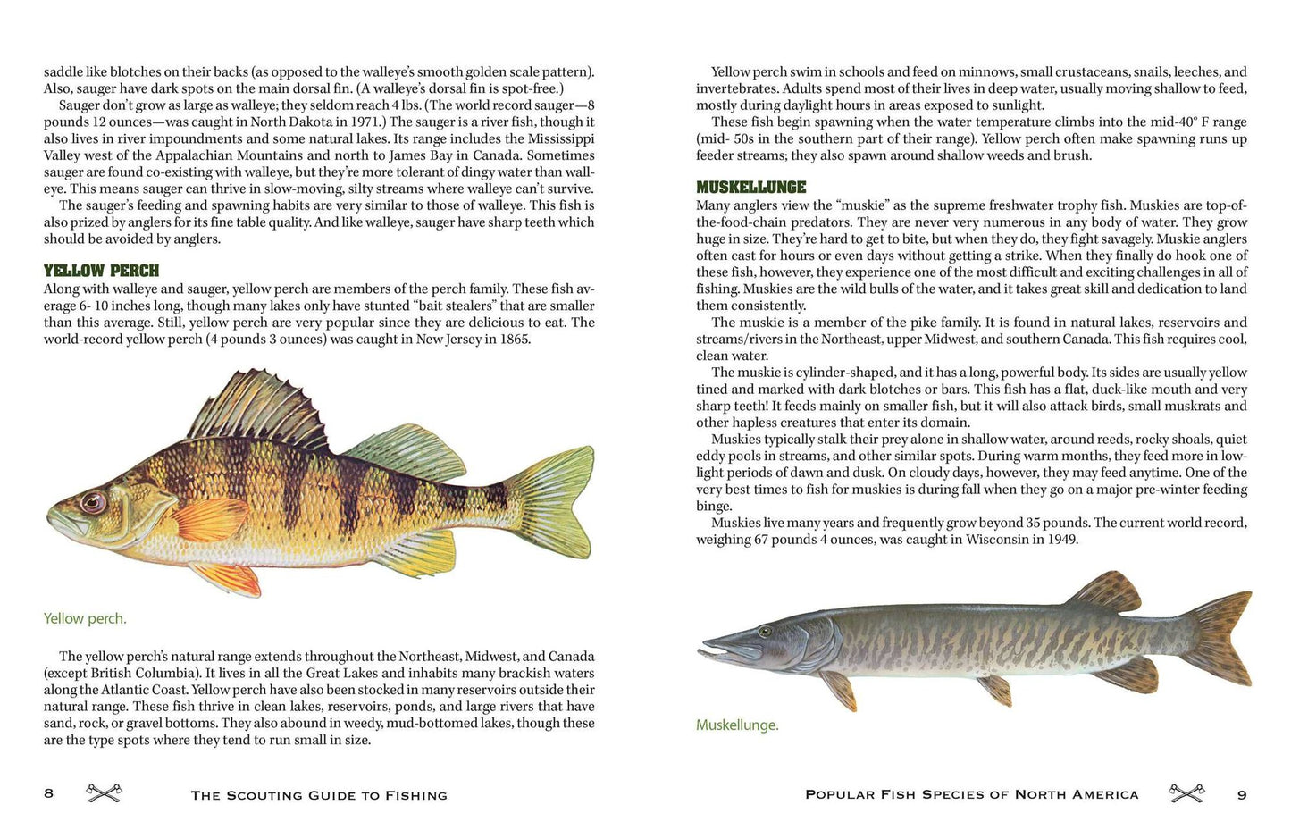 The Scouting Guide to Basic Fishing : 200 Essential Skills for Selecting Tackle, Tying Knots, Casting, and Catching Fish