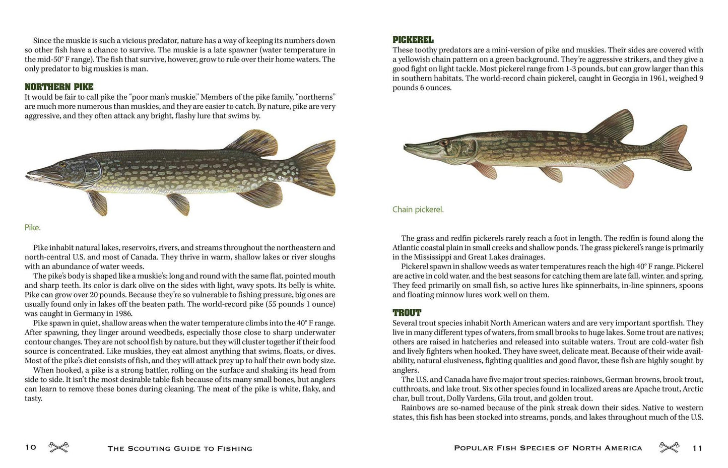 The Scouting Guide to Basic Fishing : 200 Essential Skills for Selecting Tackle, Tying Knots, Casting, and Catching Fish