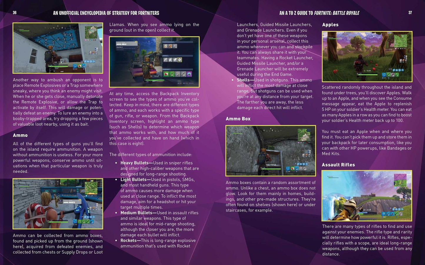 An Unofficial Encyclopedia of Strategy for Fortniters: Battle Royale for Noobs