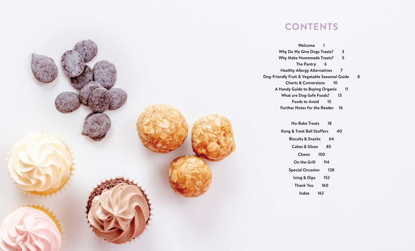 Healthy Homemade Dog Treats: More than 70 Simple & Delicious Treats for Your Furry Best Friend