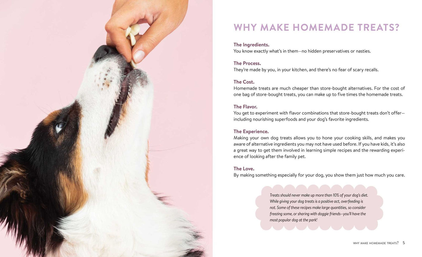 Healthy Homemade Dog Treats: More than 70 Simple & Delicious Treats for Your Furry Best Friend