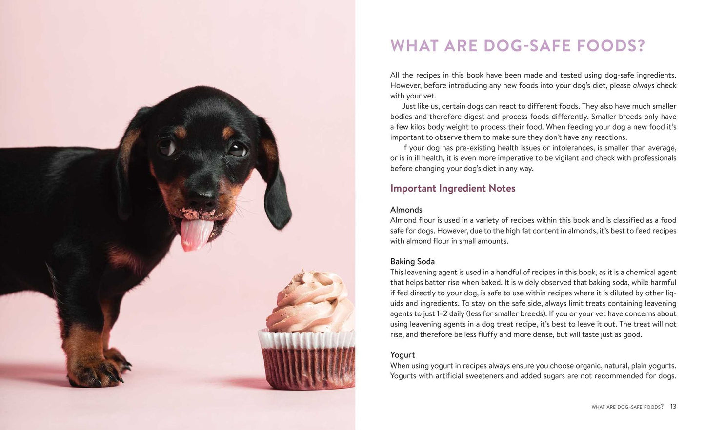 Healthy Homemade Dog Treats: More than 70 Simple & Delicious Treats for Your Furry Best Friend