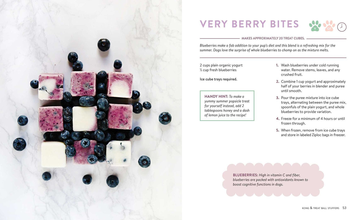 Healthy Homemade Dog Treats: More than 70 Simple & Delicious Treats for Your Furry Best Friend