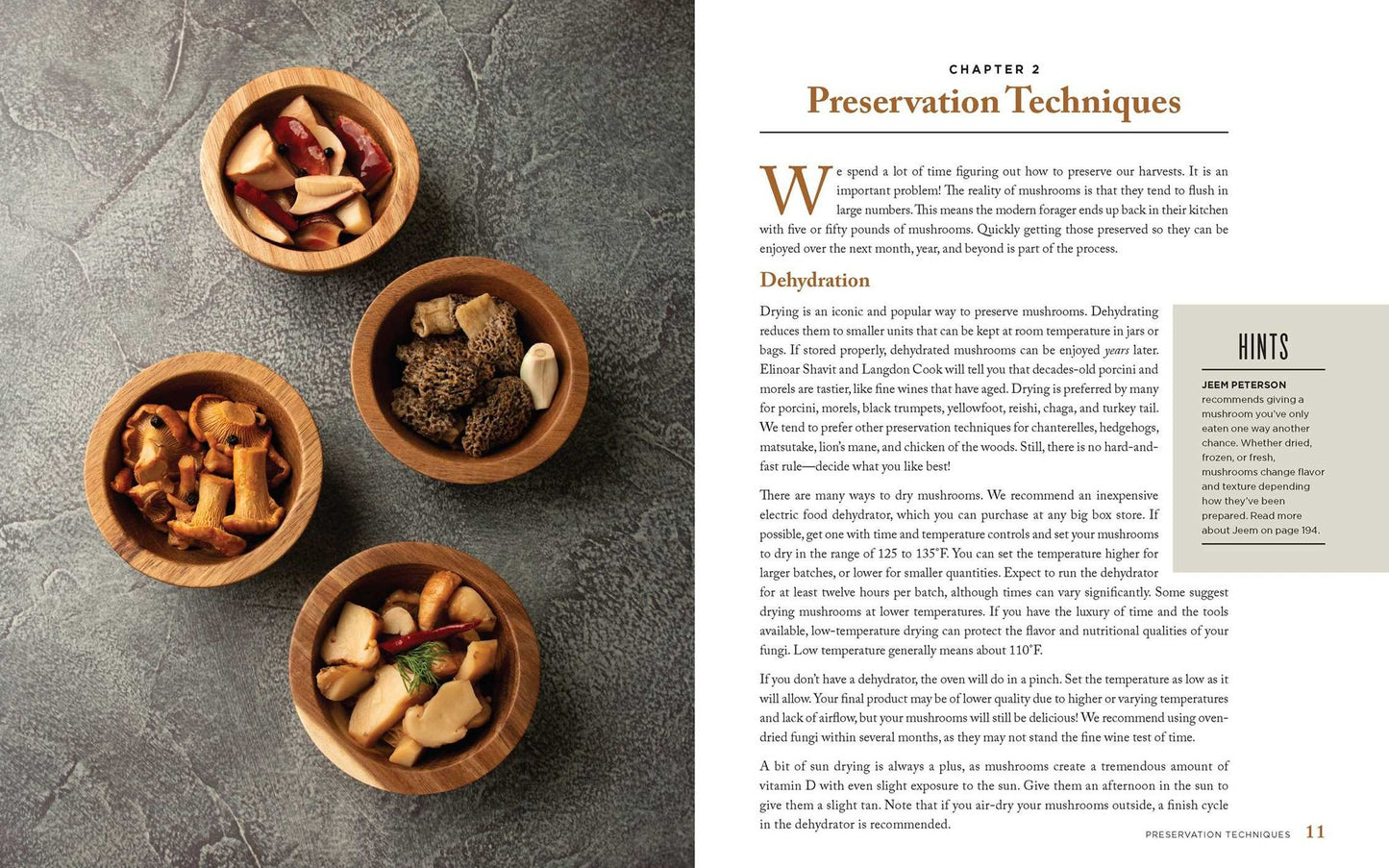 The Wild Mushrooms: How to Find, Store, and Prepare Foraged Mushrooms