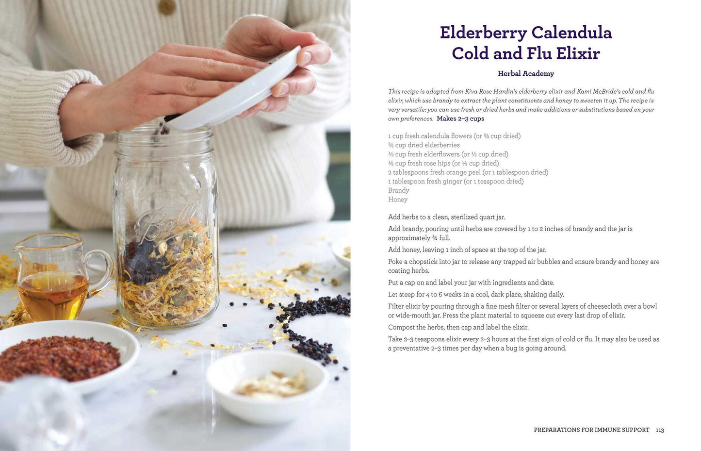 Everything Elderberry: How to Forage, Cultivate, and Cook with this Amazing Natural Remedy