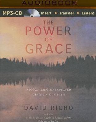 Power of Grace, The: Recognizing Unexpected Gifts on Our Path