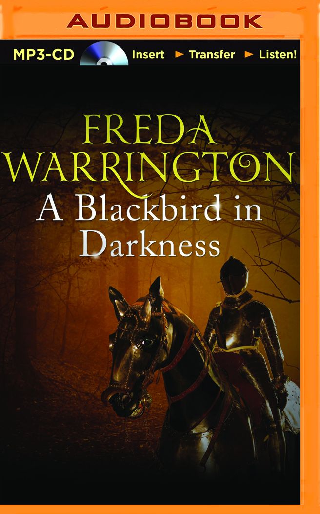 A Blackbird in Darkness