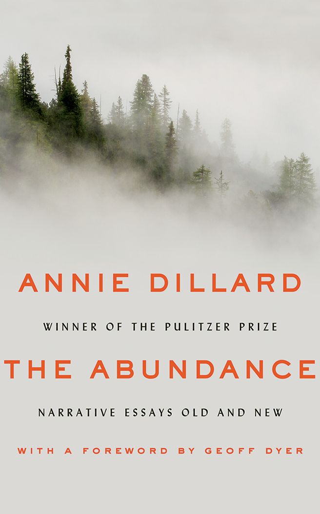 The Abundance: Narrative Essays Old and New