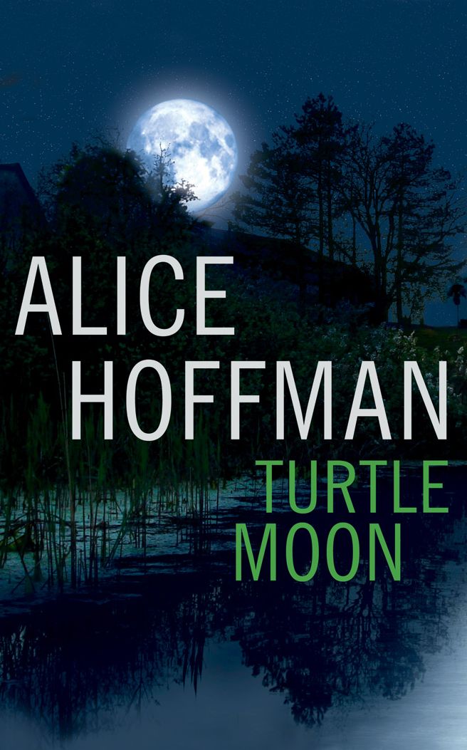 Turtle Moon