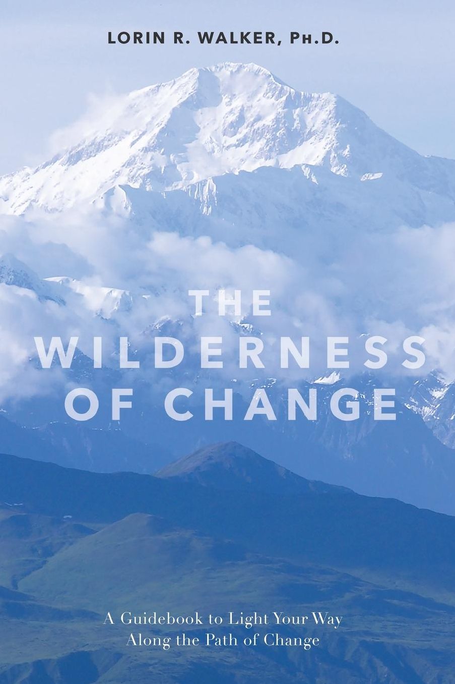 Wilderness Of Change: Making the Most of Life's Twists and Turns