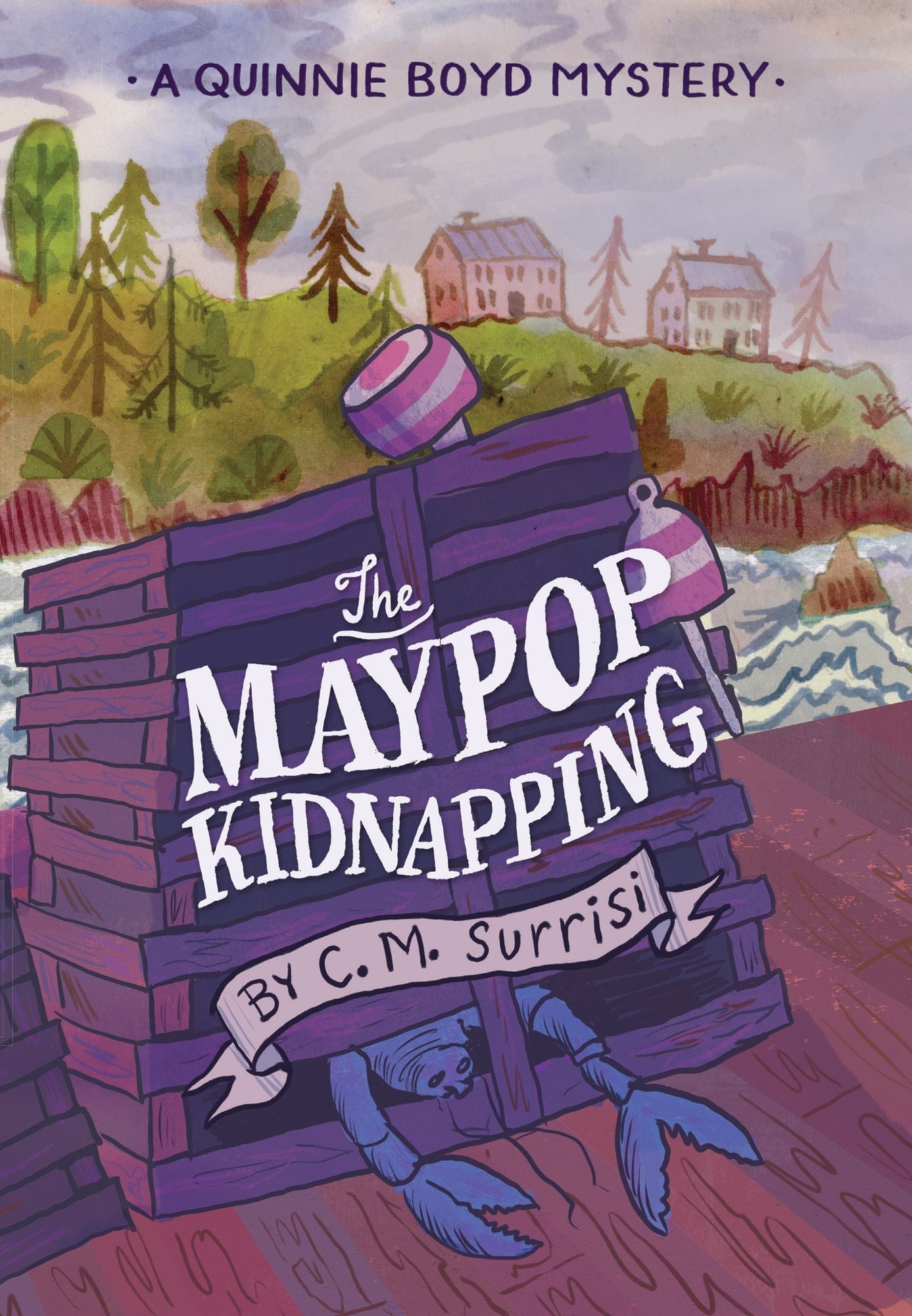 The Maypop Kidnapping: A Quinnie Boyd Mystery