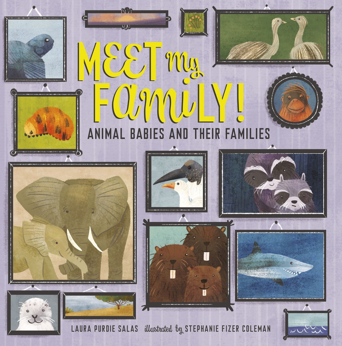 Meet My Family!: Animal Babies and Their Families