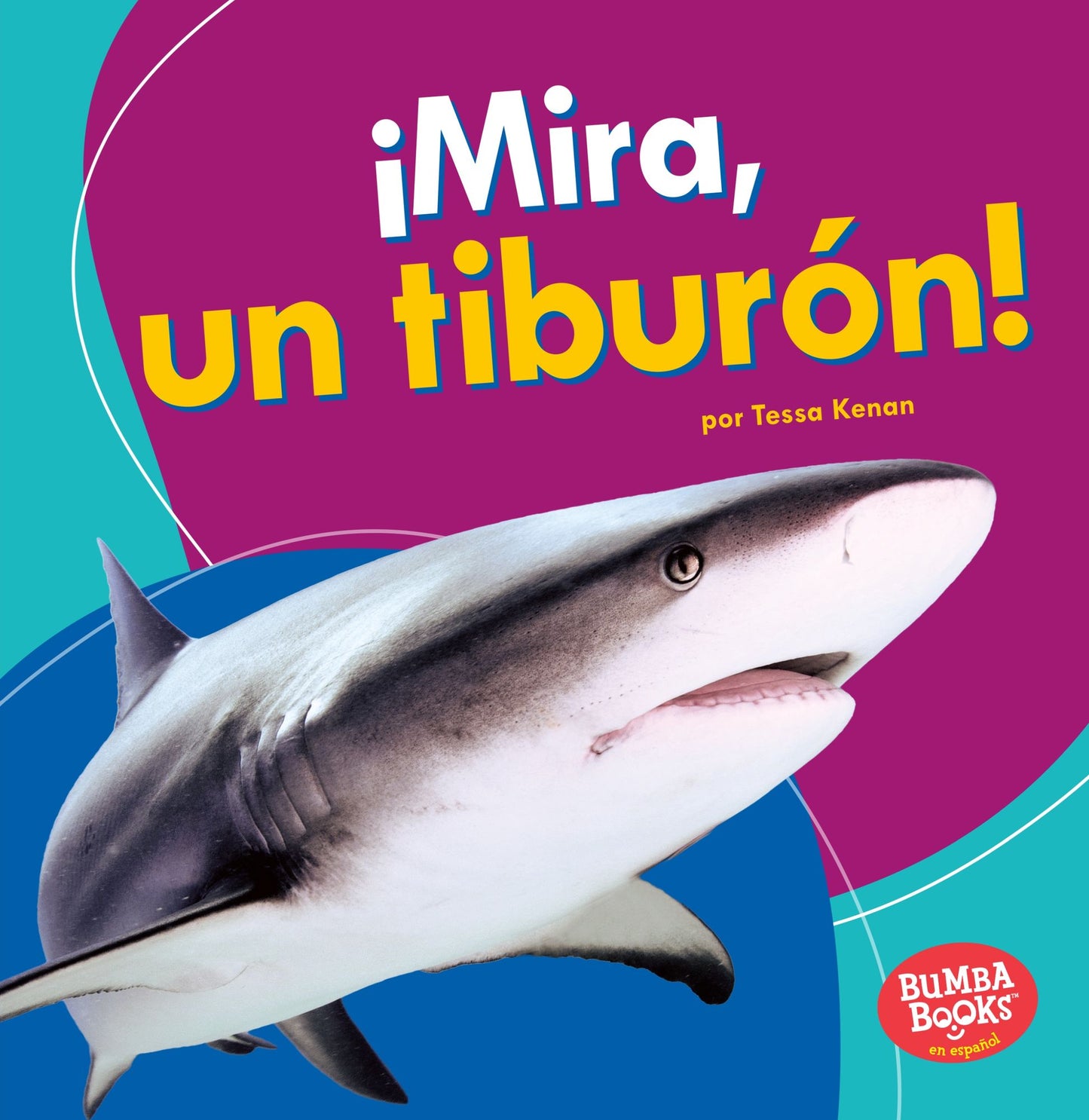 Mira, Un Tiburon! (Look, a Shark!)
