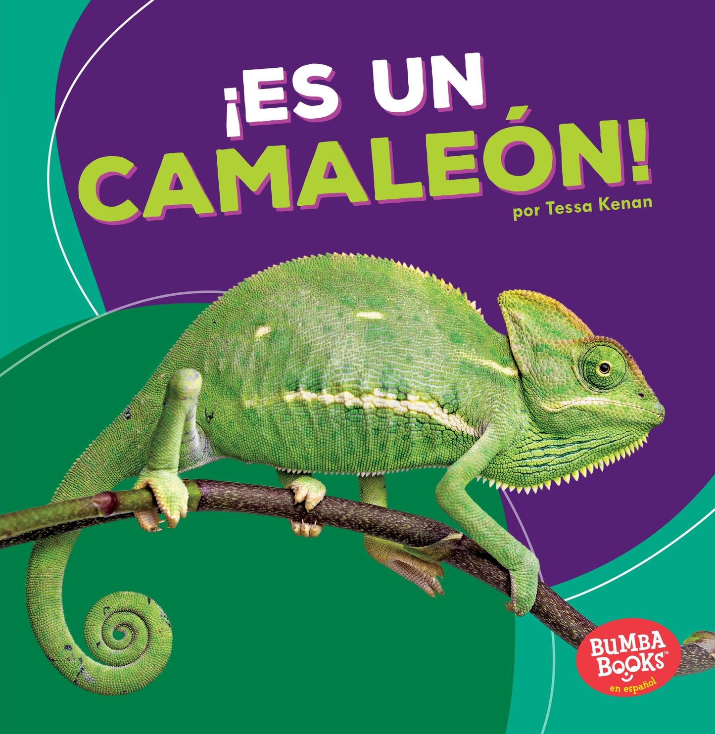 Es Un Camaleon! (It's a Chameleon!)
