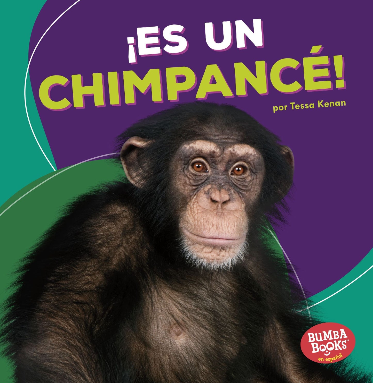 Es Un Chimpance! (It's a Chimpanzee!)