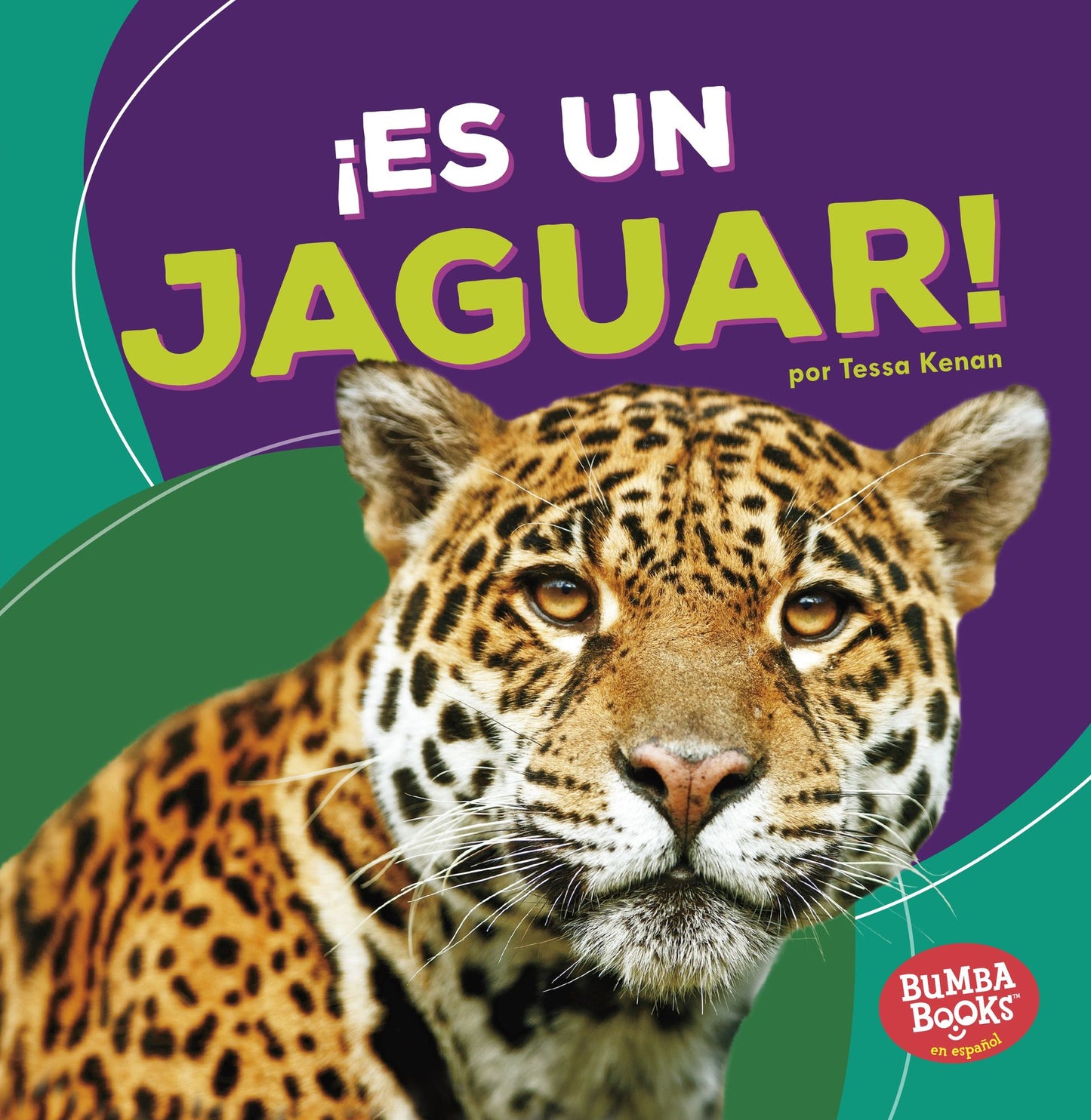 Es Un Jaguar! (It's a Jaguar!)