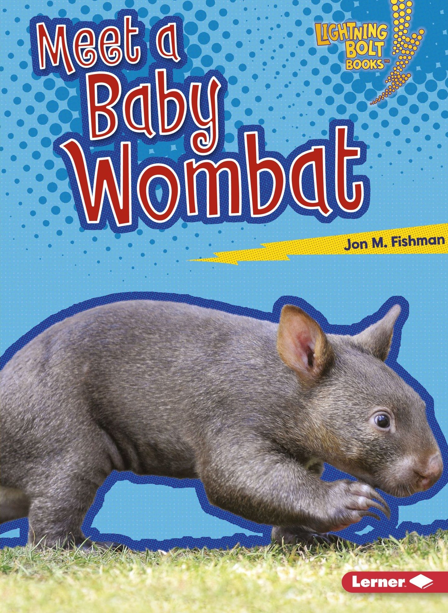Meet a Baby Wombat